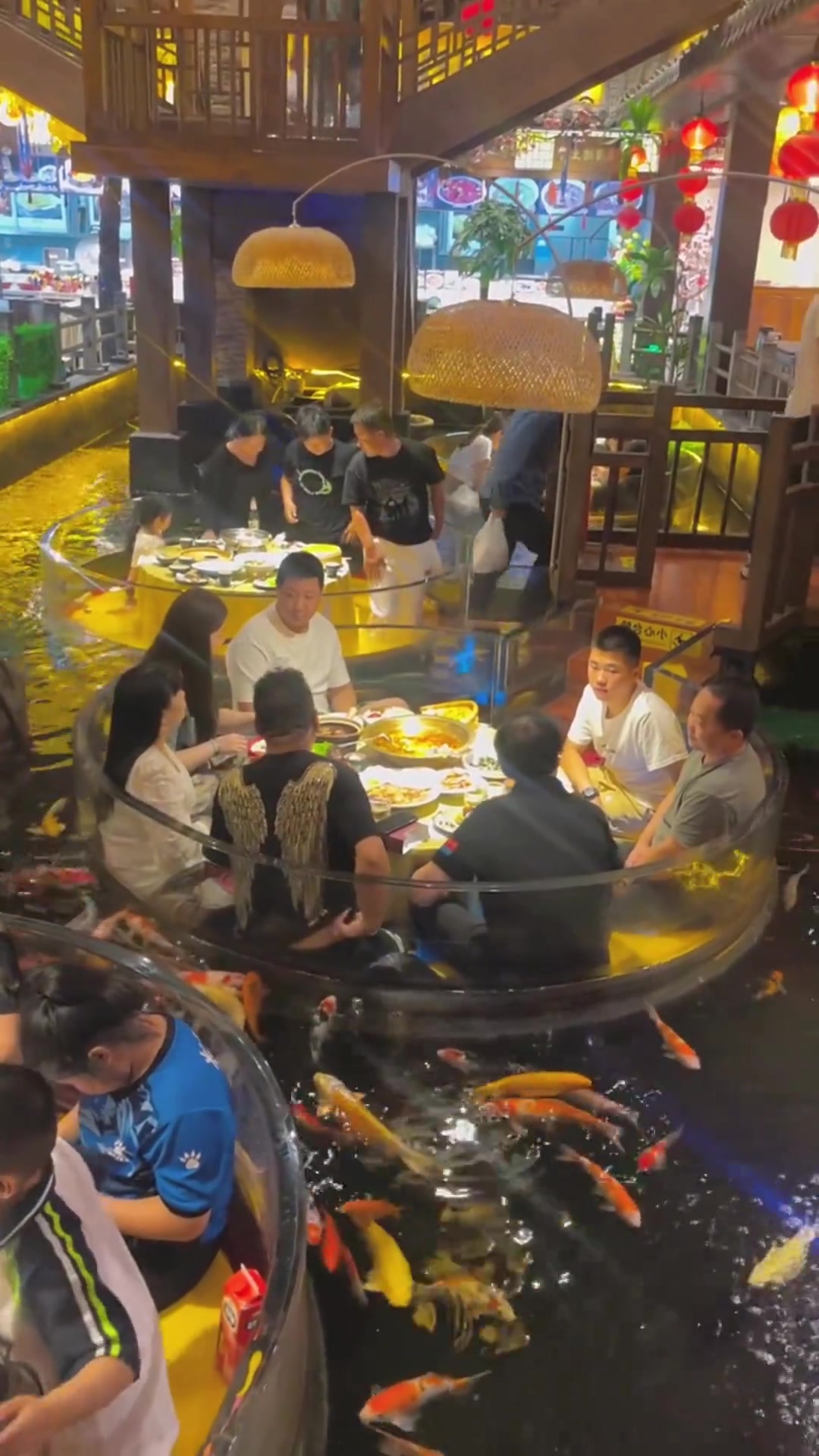 你会来这家餐厅吃饭吗？