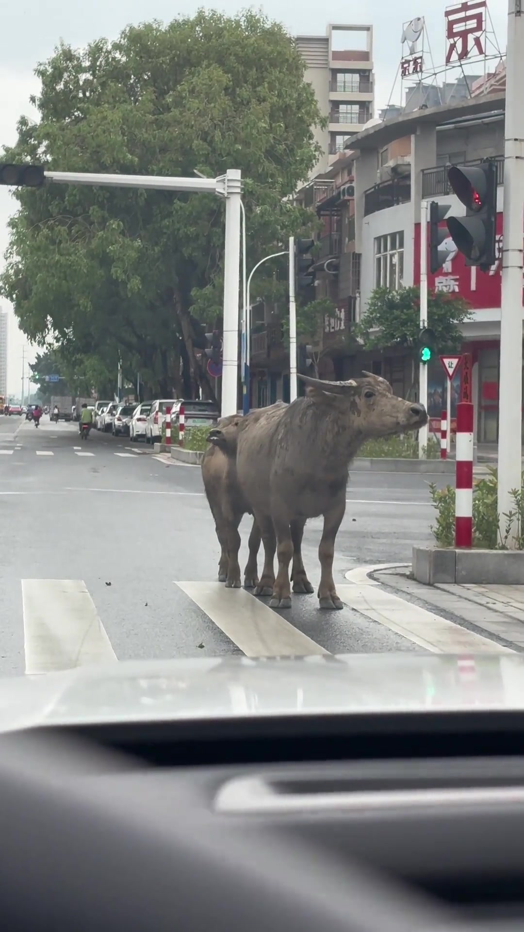 想问路但又不知道找谁