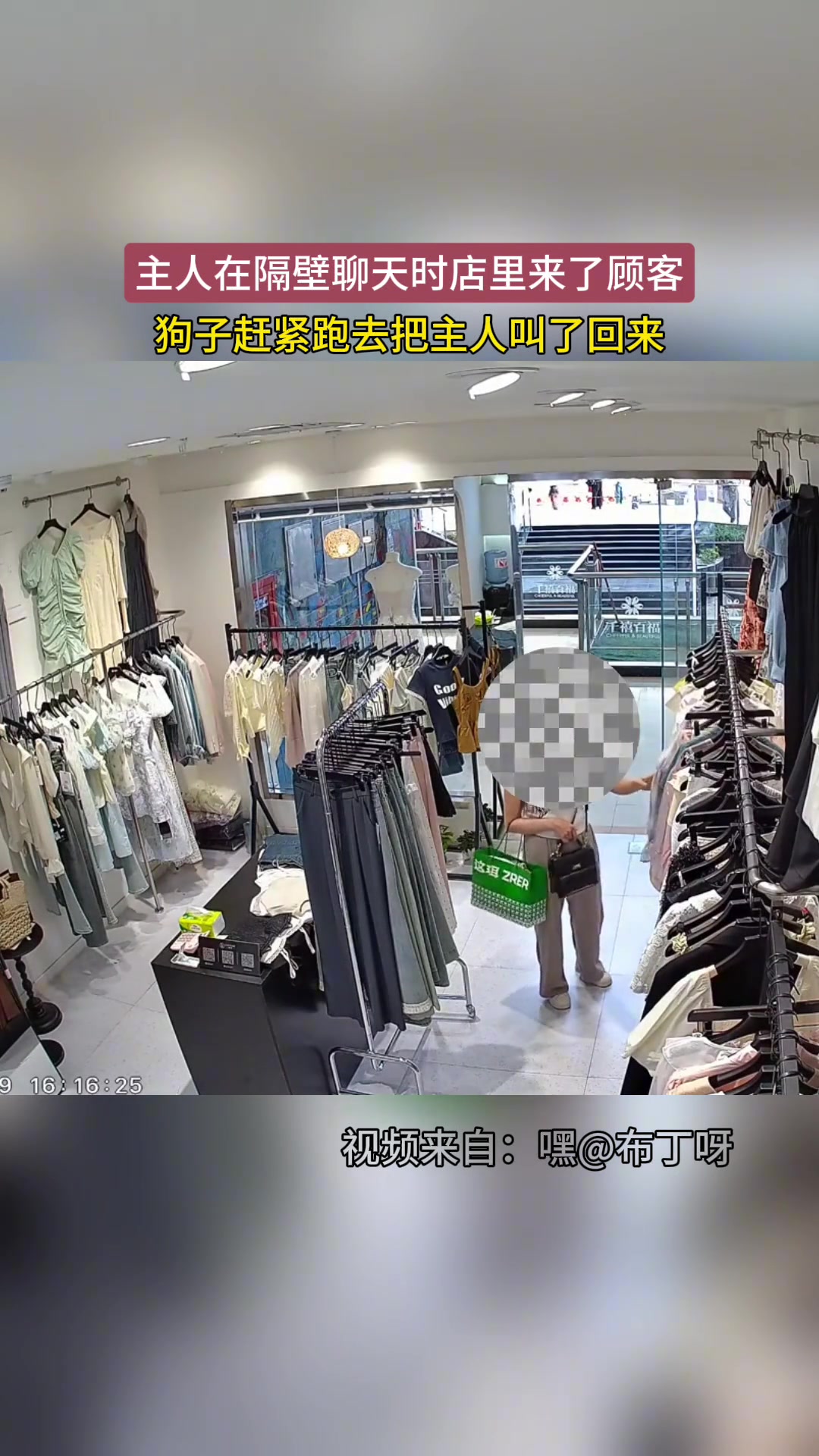 狗子：我是副店长