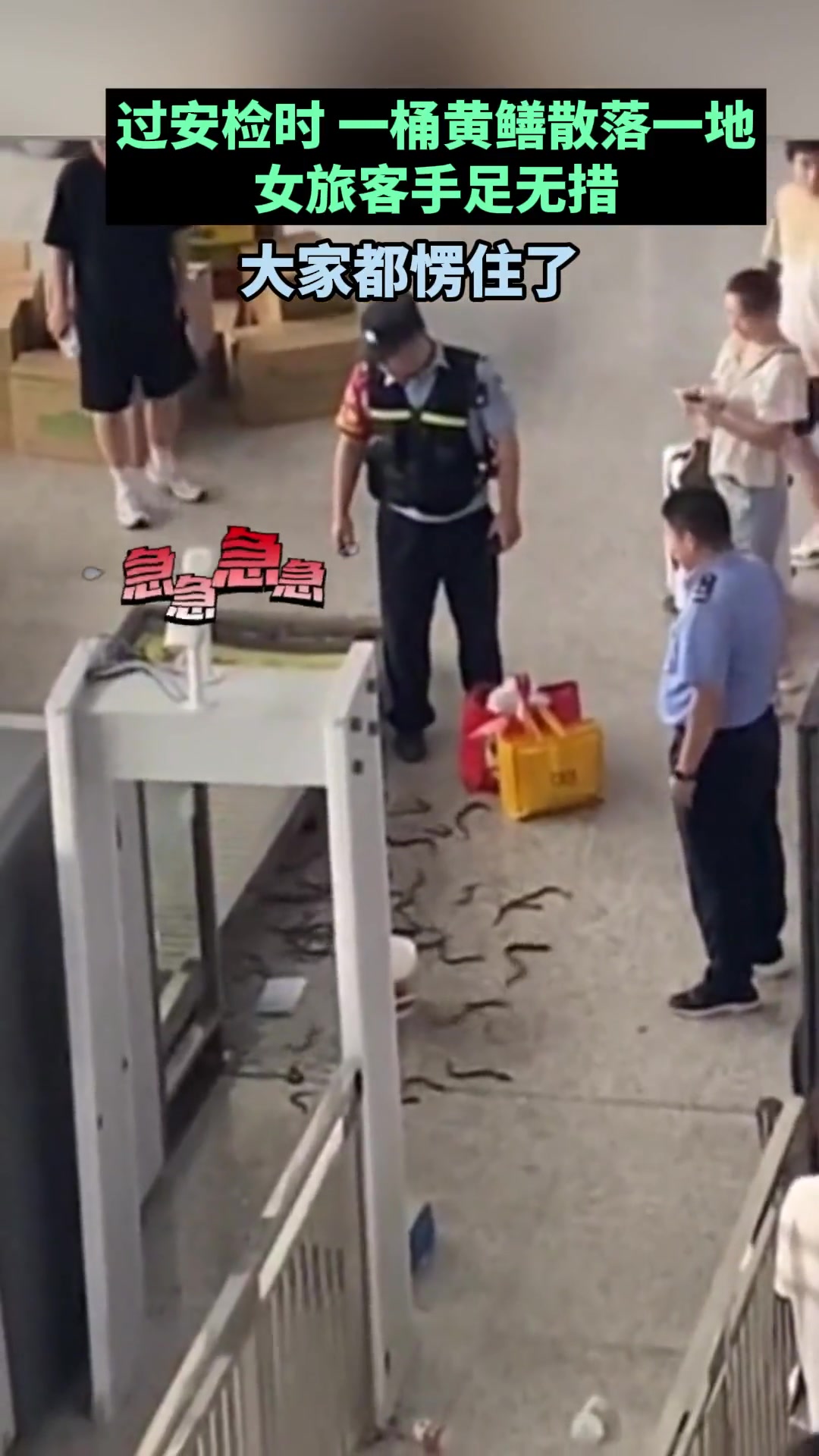过安检时一桶黄鳝散落一地 女旅客手足无措…