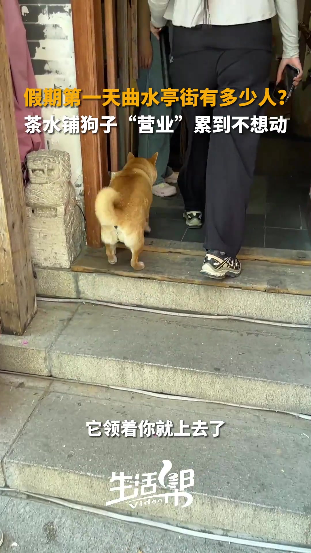 不干了，不干了！干不了一点点