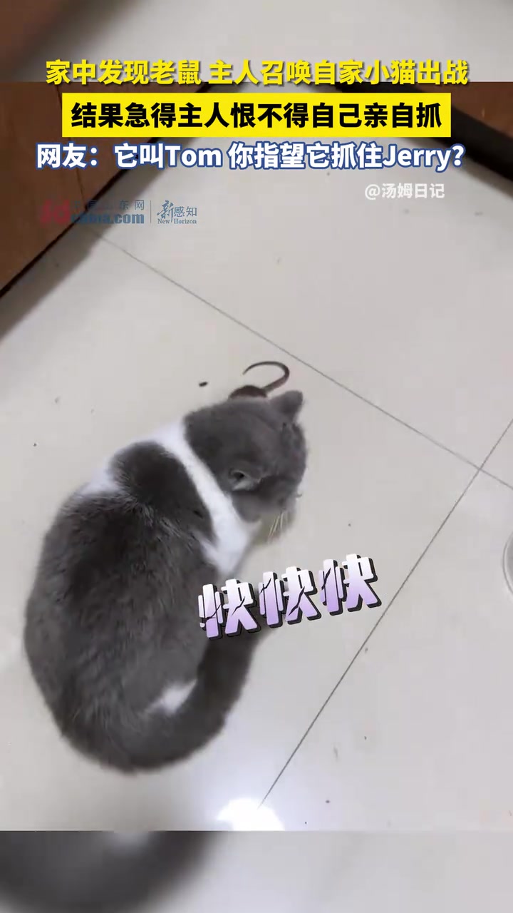 什么是Tom猫的含金量啊，那是永远都抓不到Jerry鼠的~