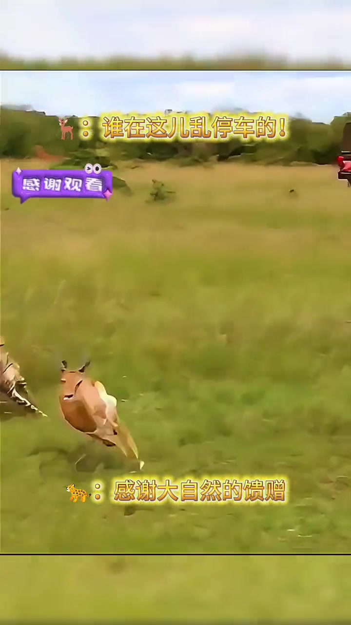 这算不算人为干预了？