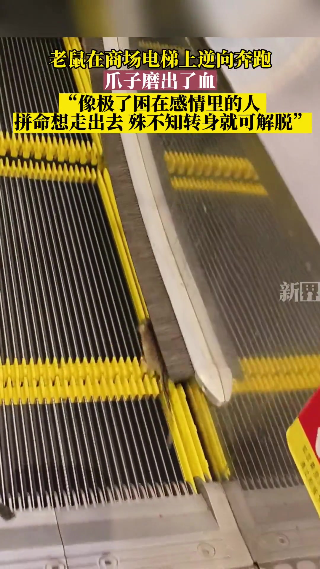方向不对，努力白费