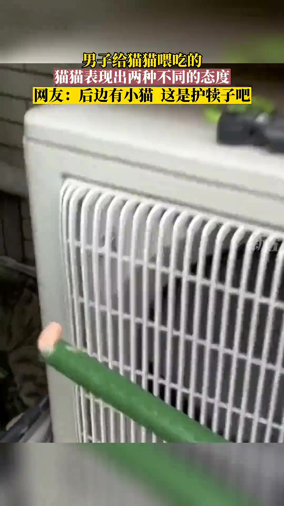 该凶凶，该吃吃一点都不耽误