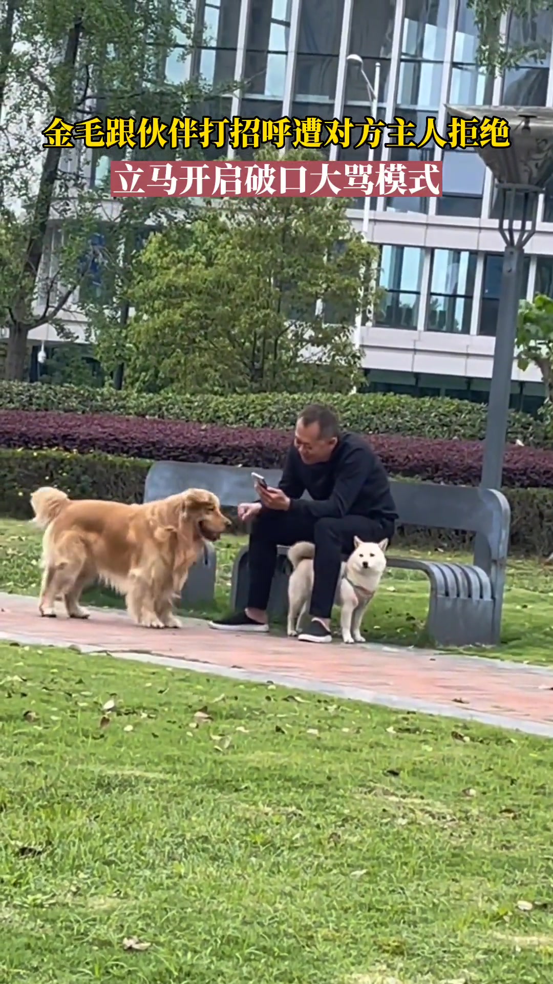 老父亲慧眼识狗，一眼就看出它俩不合适