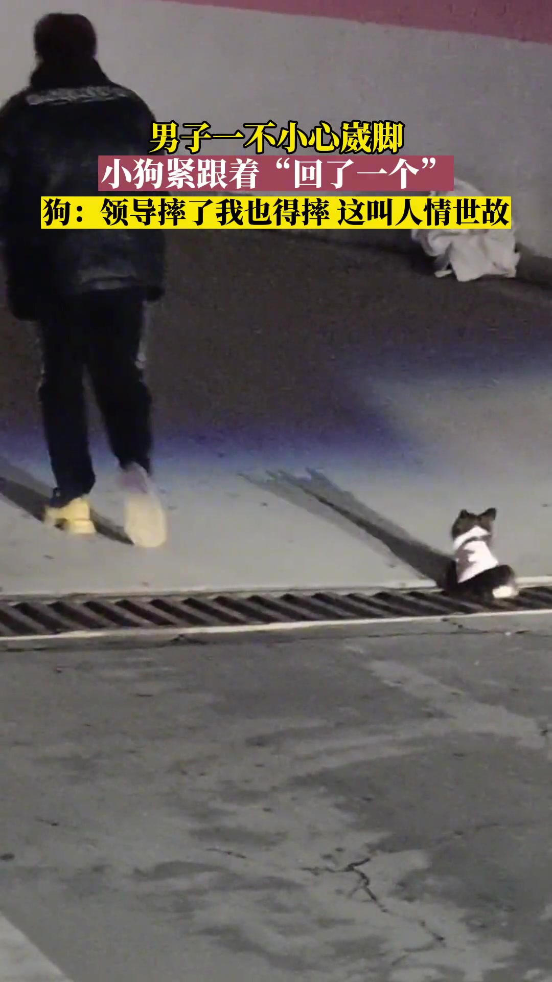 男子一不小心崴脚，小狗紧接着“回了一个”