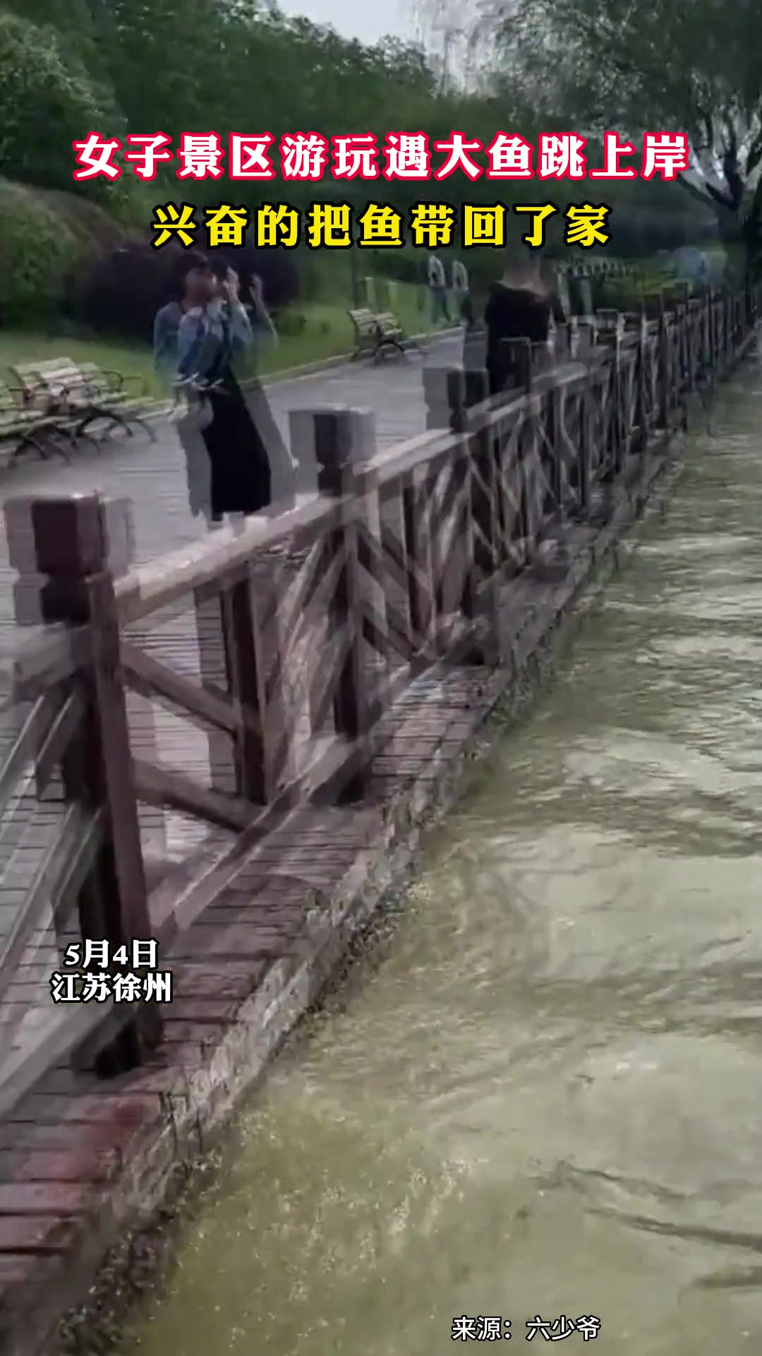 鱼本想跃龙门 没想到却跃进了锅里