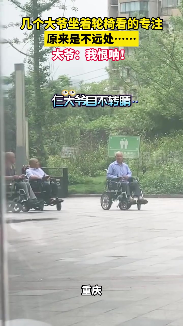 几个大爷坐着轮椅看的专注，原来是不远处……