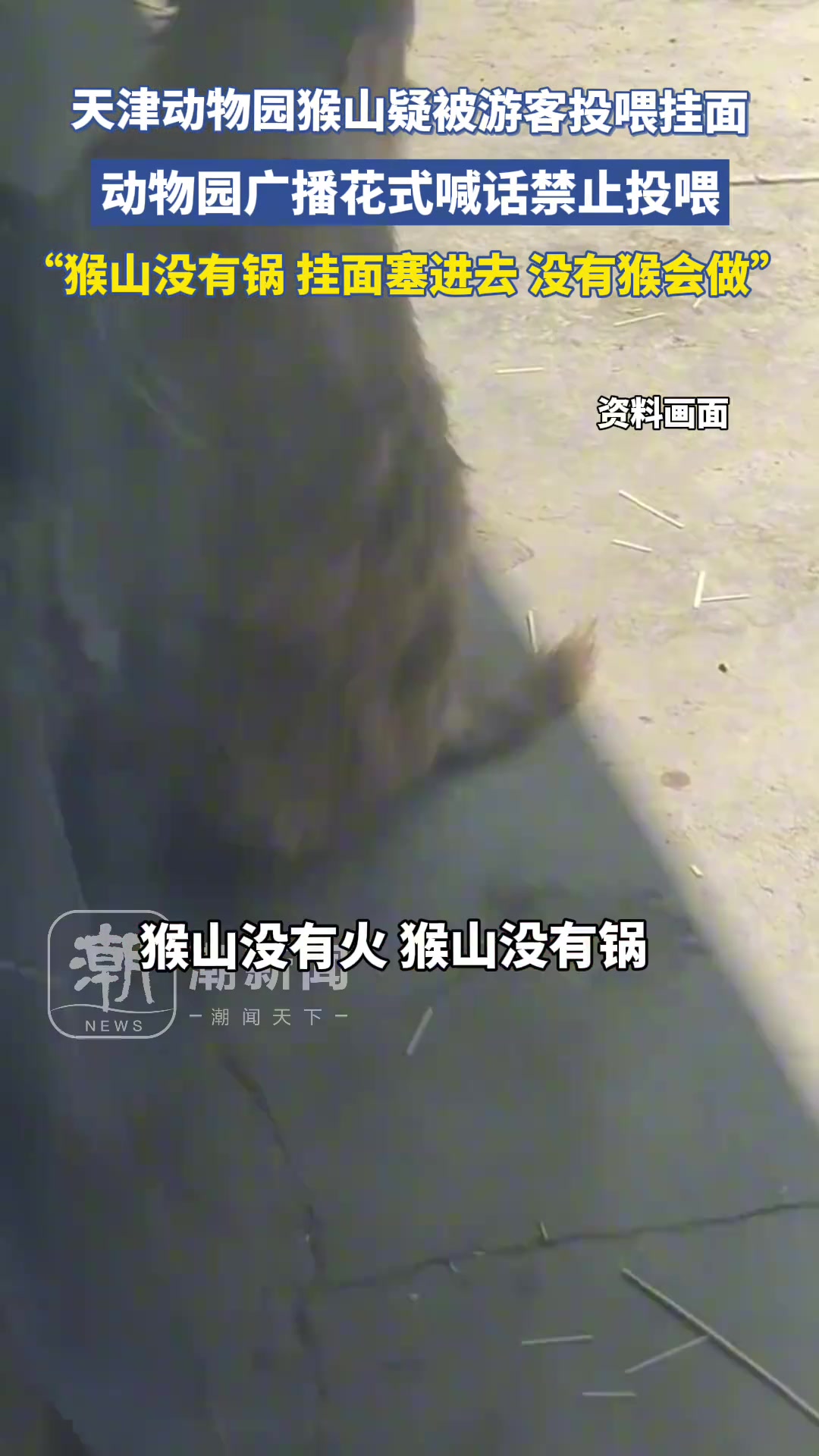 动物园猴山疑被游客投喂挂面 管理员花式喊话真绝了