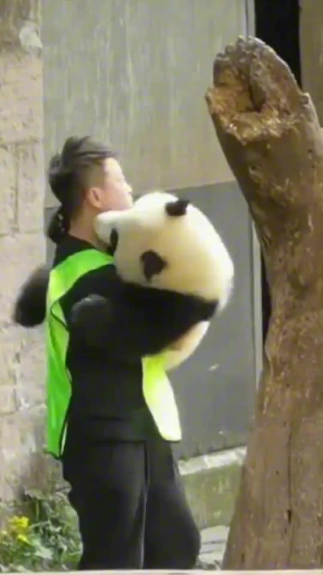 可可的微笑太暖了