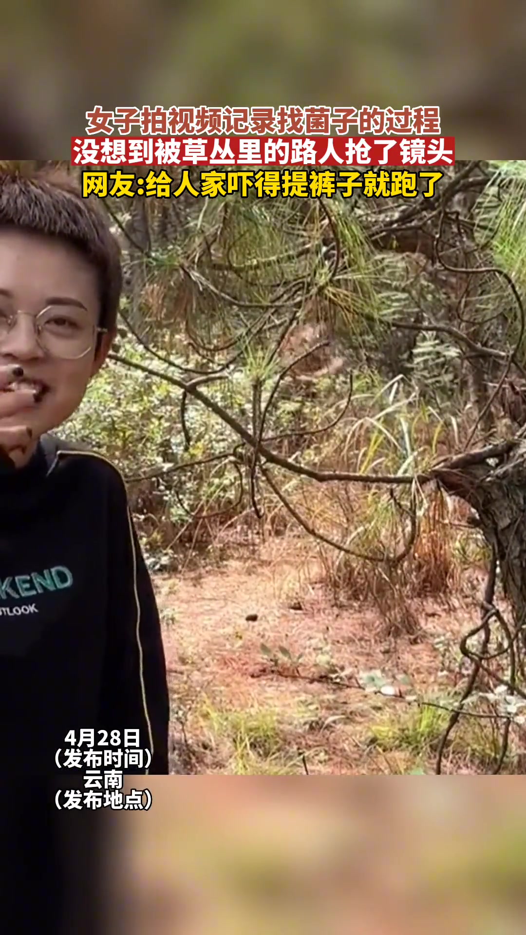 拍视频记录找菌子，没想到被草丛里的路人抢了镜头