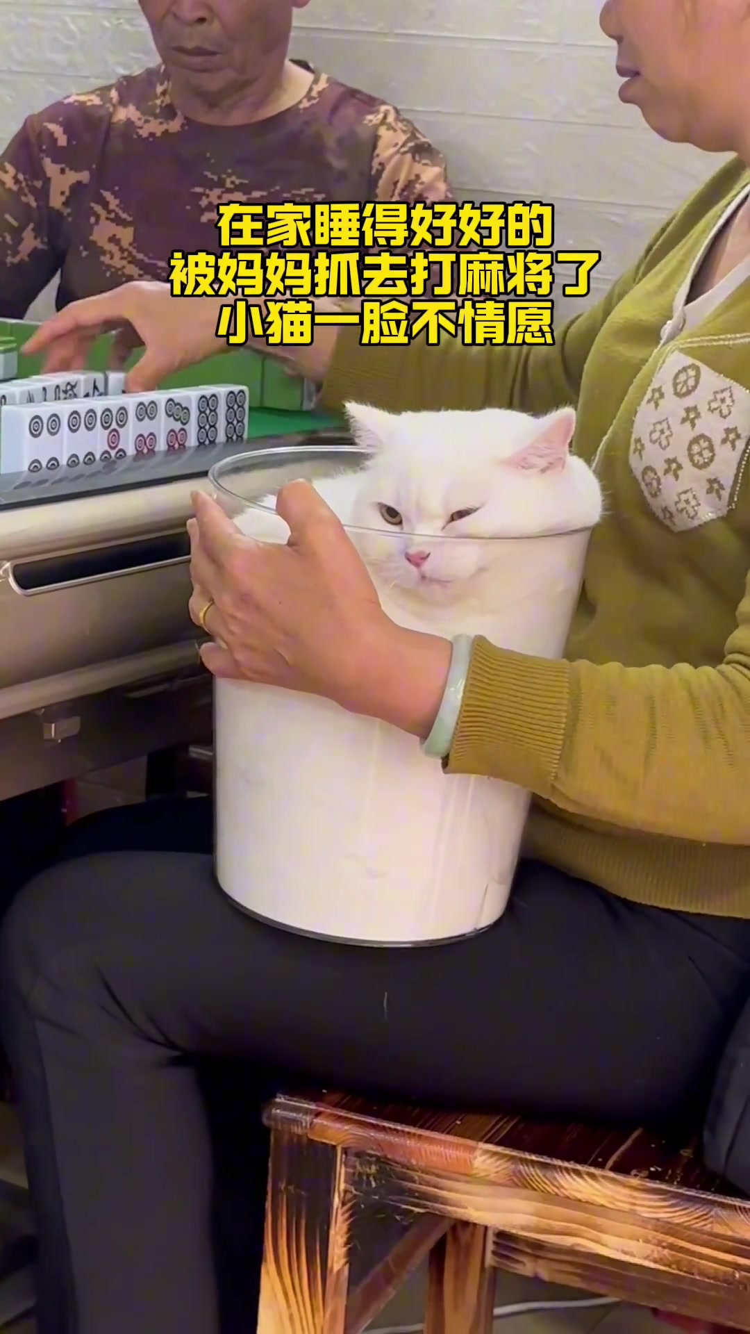 这是招财猫嘛，打麻将都得抱着
