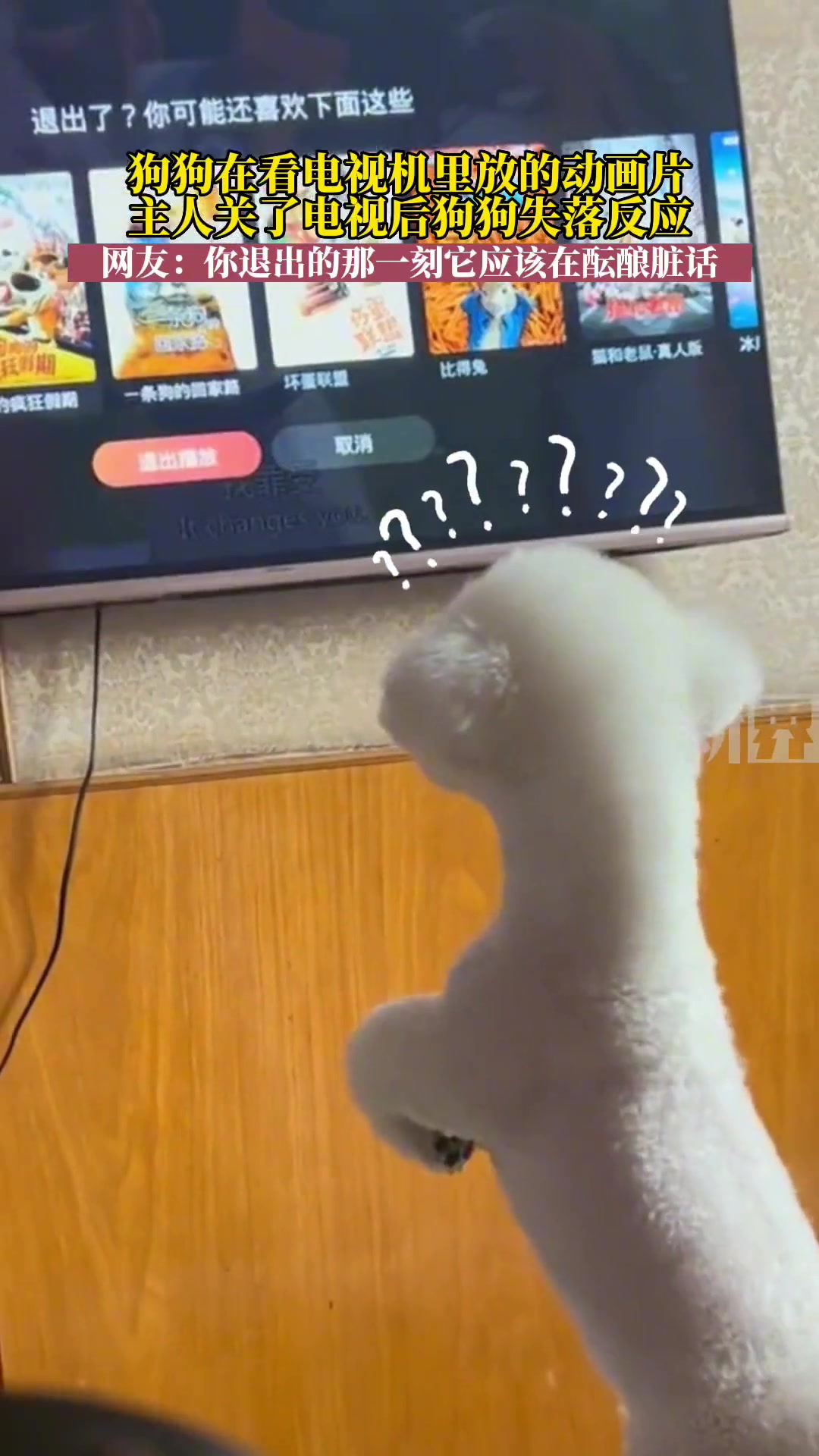 电视机关上的瞬间，竟然在狗子脸上看到了失望的表情