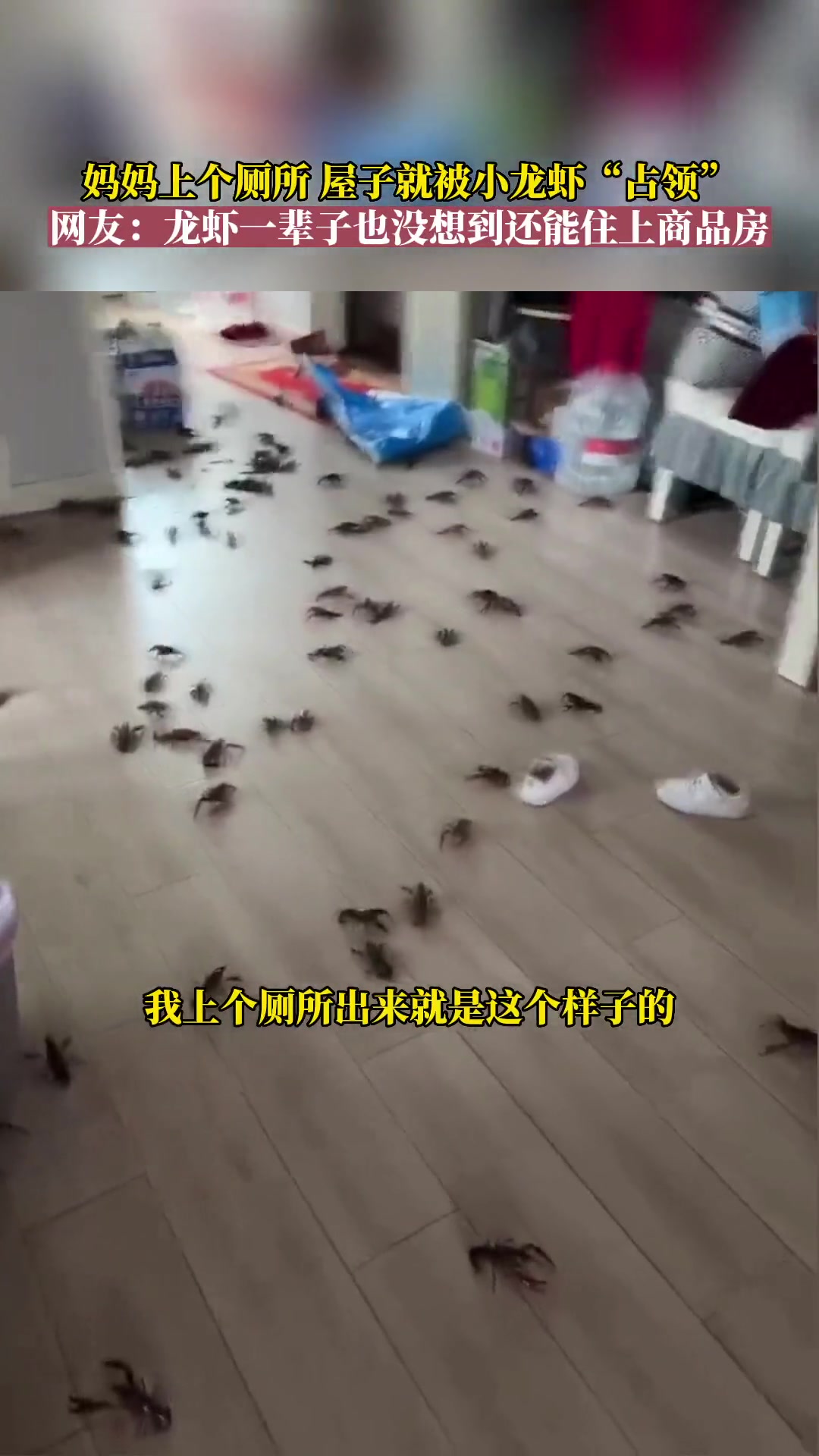 心态崩了！上个厕所的功夫，屋子就被小龙虾“占领”