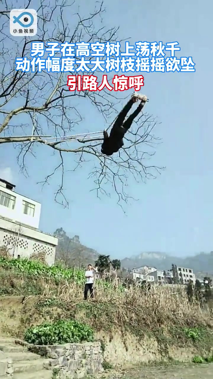 秋千仅用细树枝绑！这也敢玩吗？