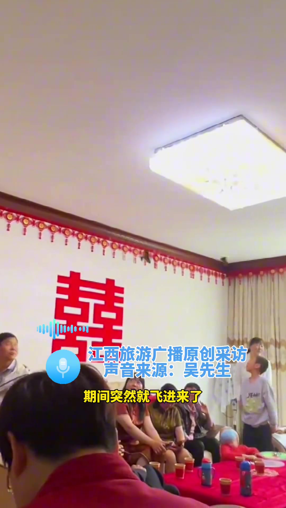 新人结婚当天，两只燕子飞进婚房，这就是新婚燕尔吧