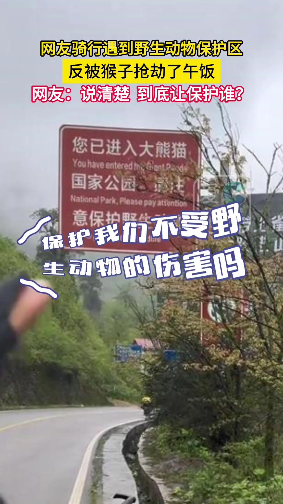 网友骑行遇到野生动物保护区，反被猴子抢劫了午饭。