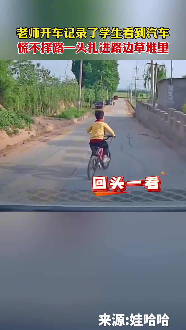 老师开车记录了学生看到汽车，慌不择路一头扎进草堆里