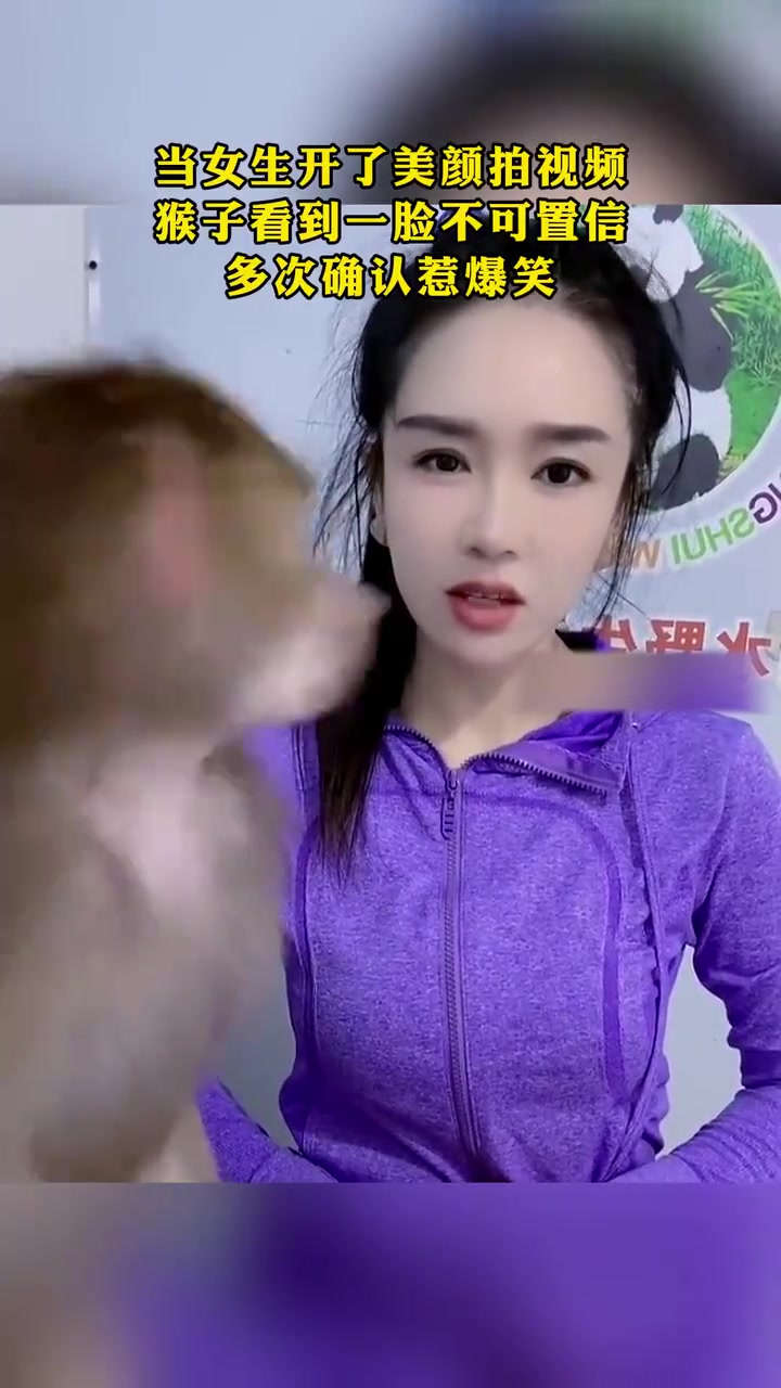 猴:妹儿啊，你开啥啊，我咋认不出你了捏