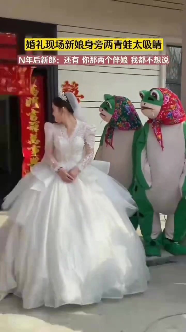 婚礼现场新娘身边两青蛙太吸睛