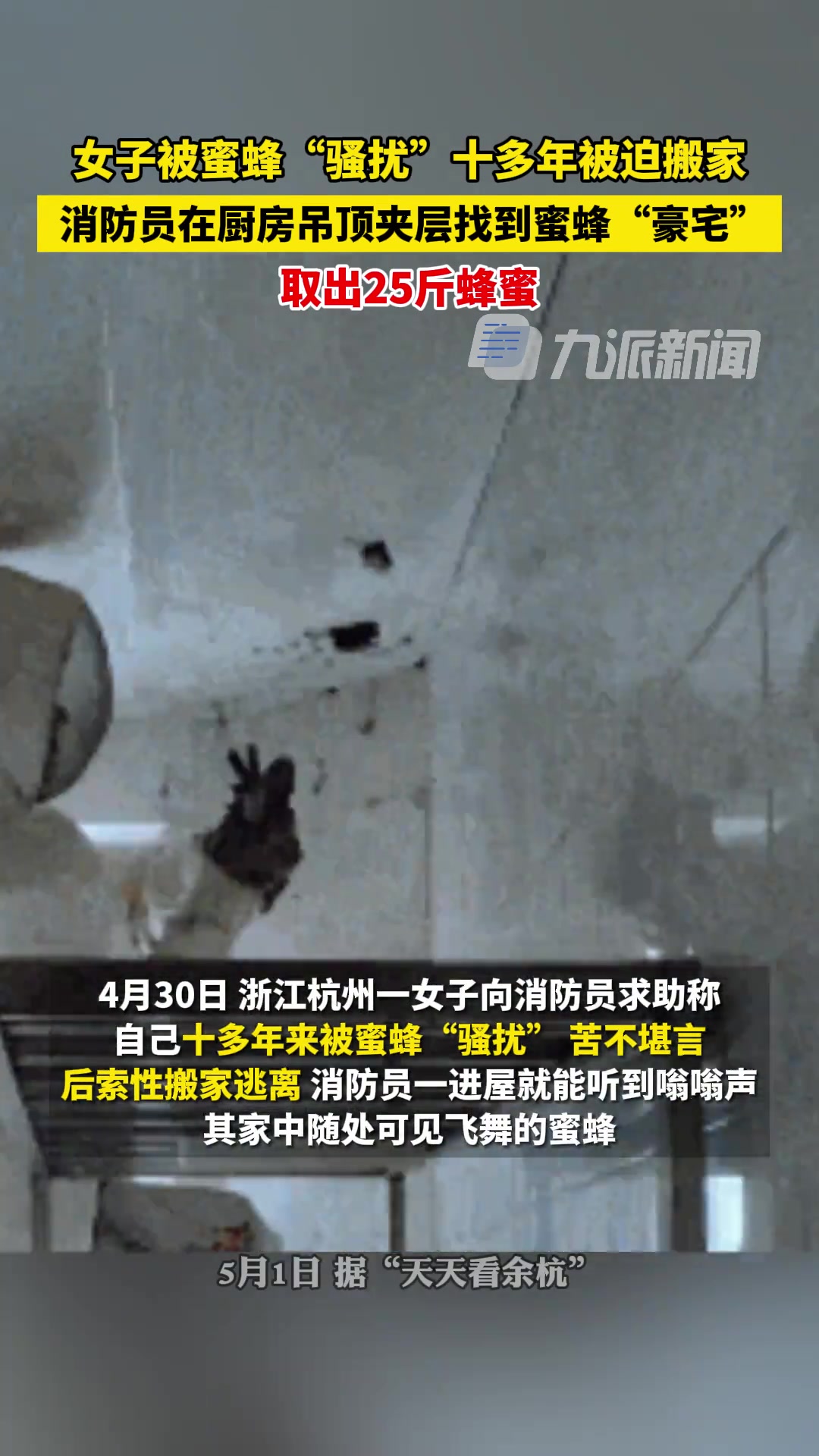 女子被蜜蜂骚扰多年被迫搬家，消防员取出25斤蜂蜜