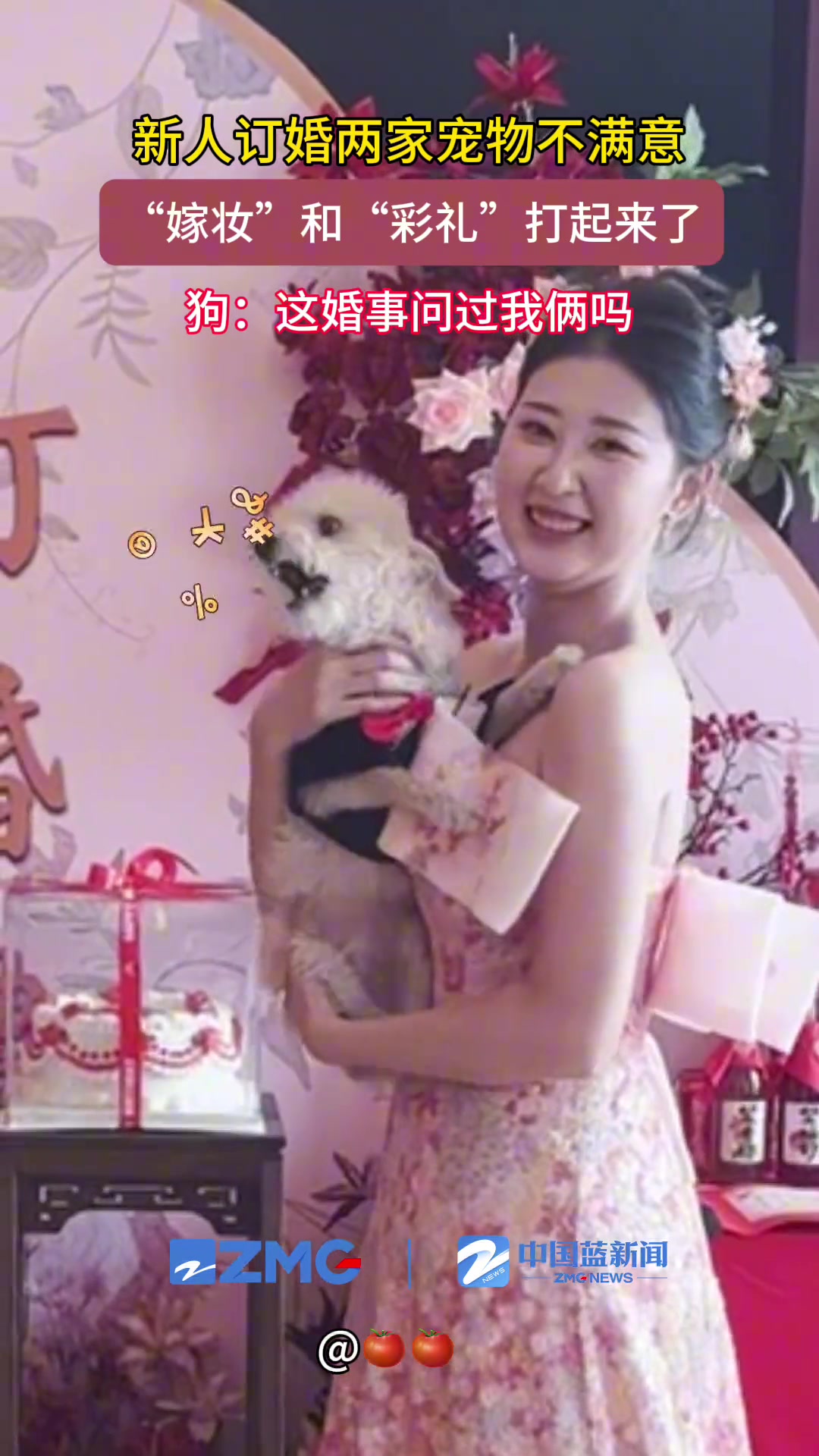 新人订婚两家宠物不满意 “彩礼”“嫁妆”互相看不上