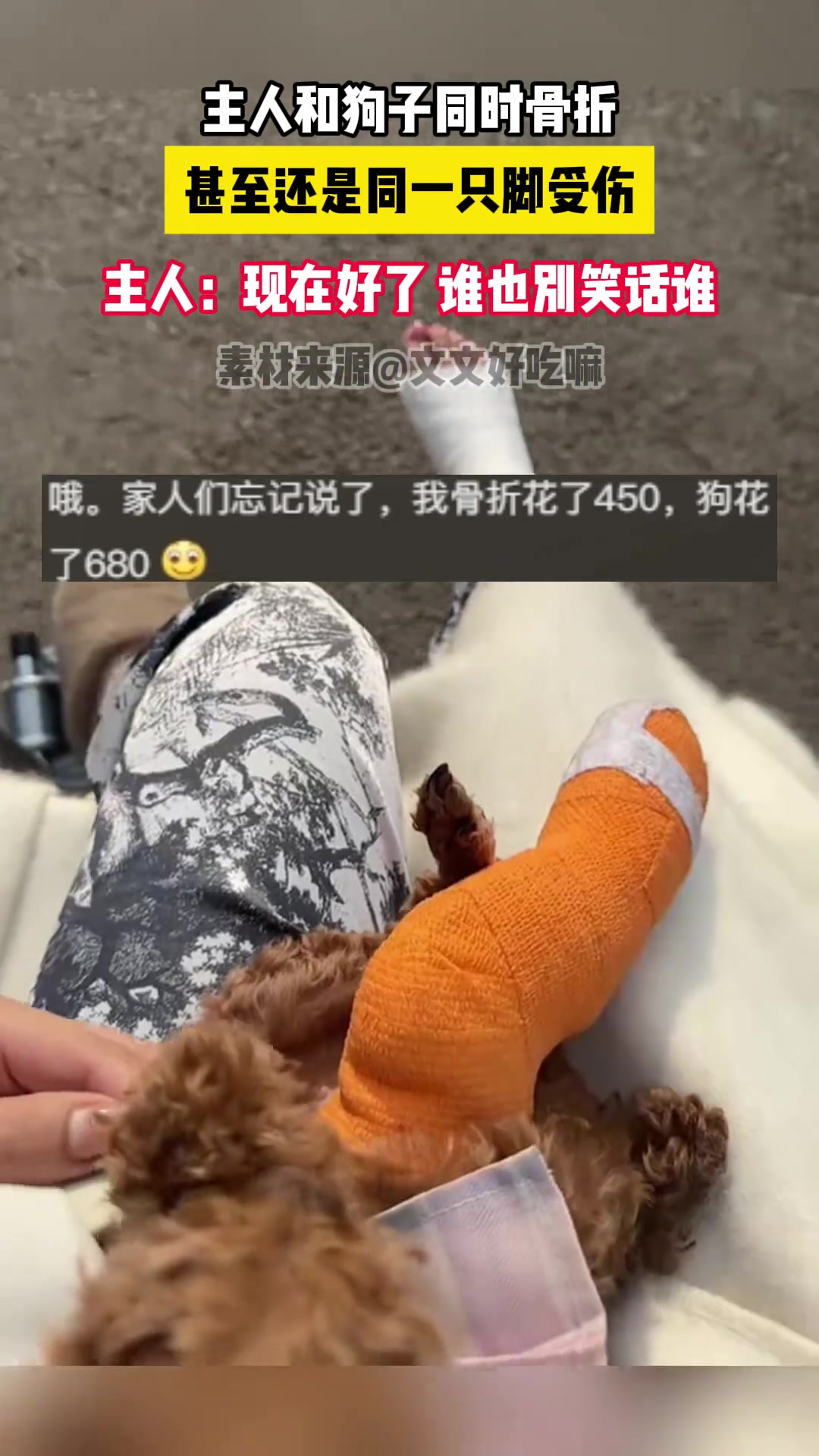 现在好了 谁也别笑话谁了