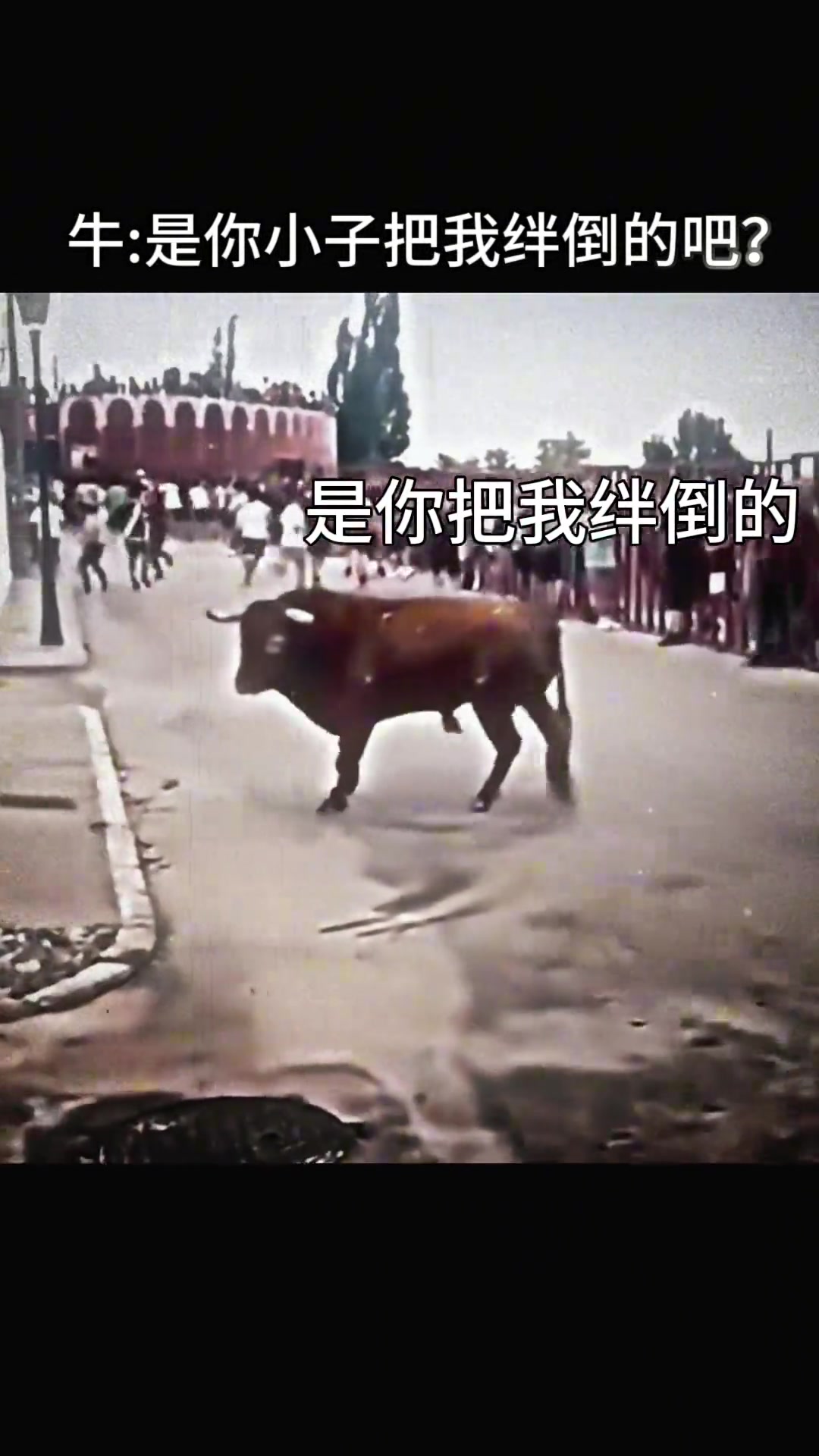 牛：就是你小子把我绊倒的吧？