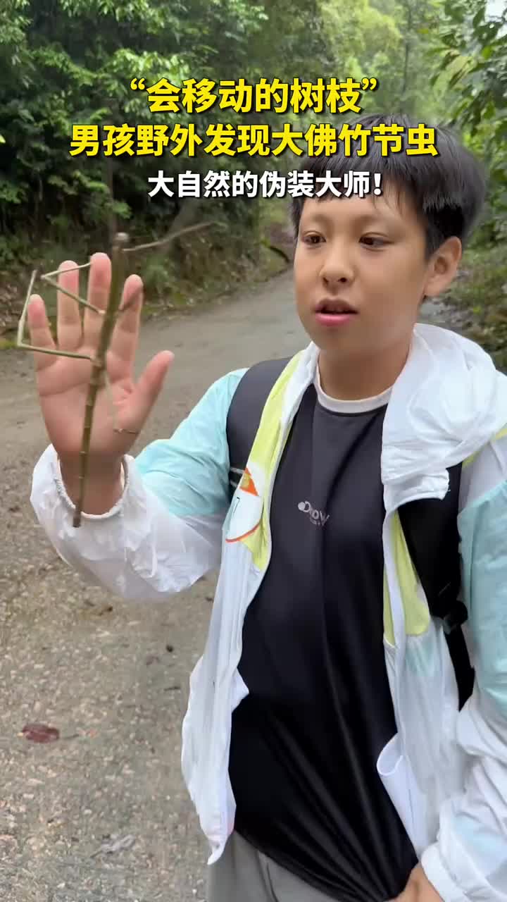 “会移动的树枝” 你认得出来吗？