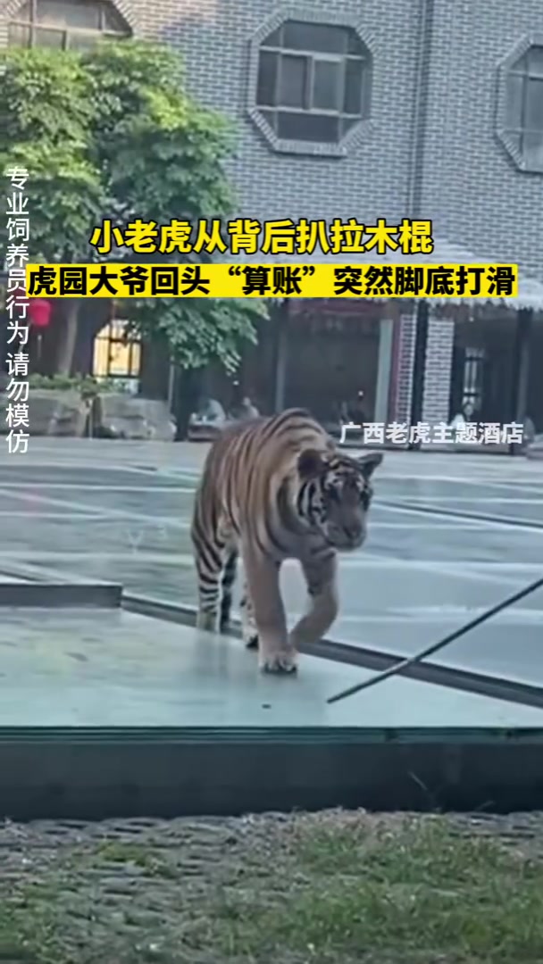 棍棒底下出孝虎！