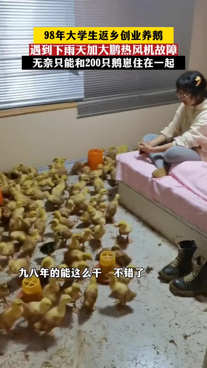听取嘎声一片！