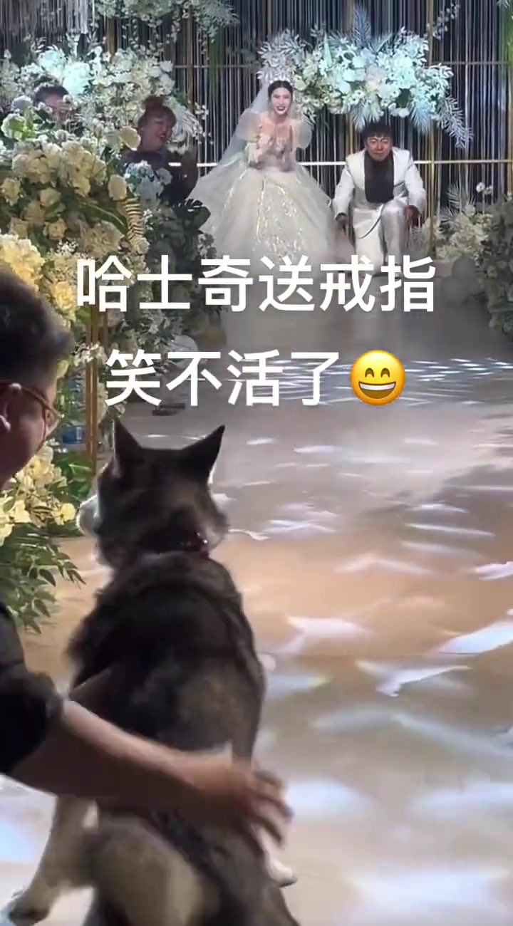 看来它反对这门亲事