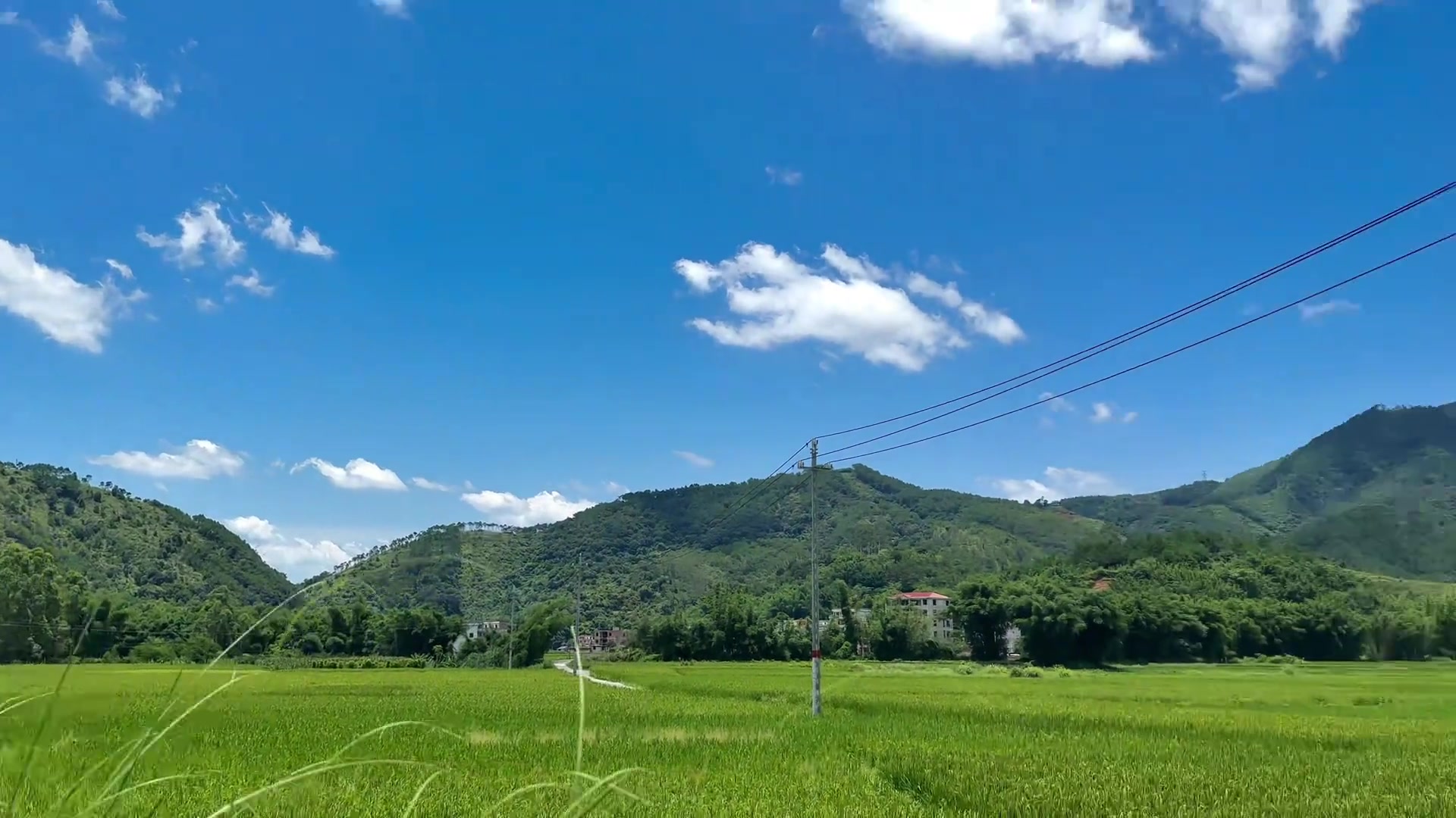 老家里夏天的真太治愈了