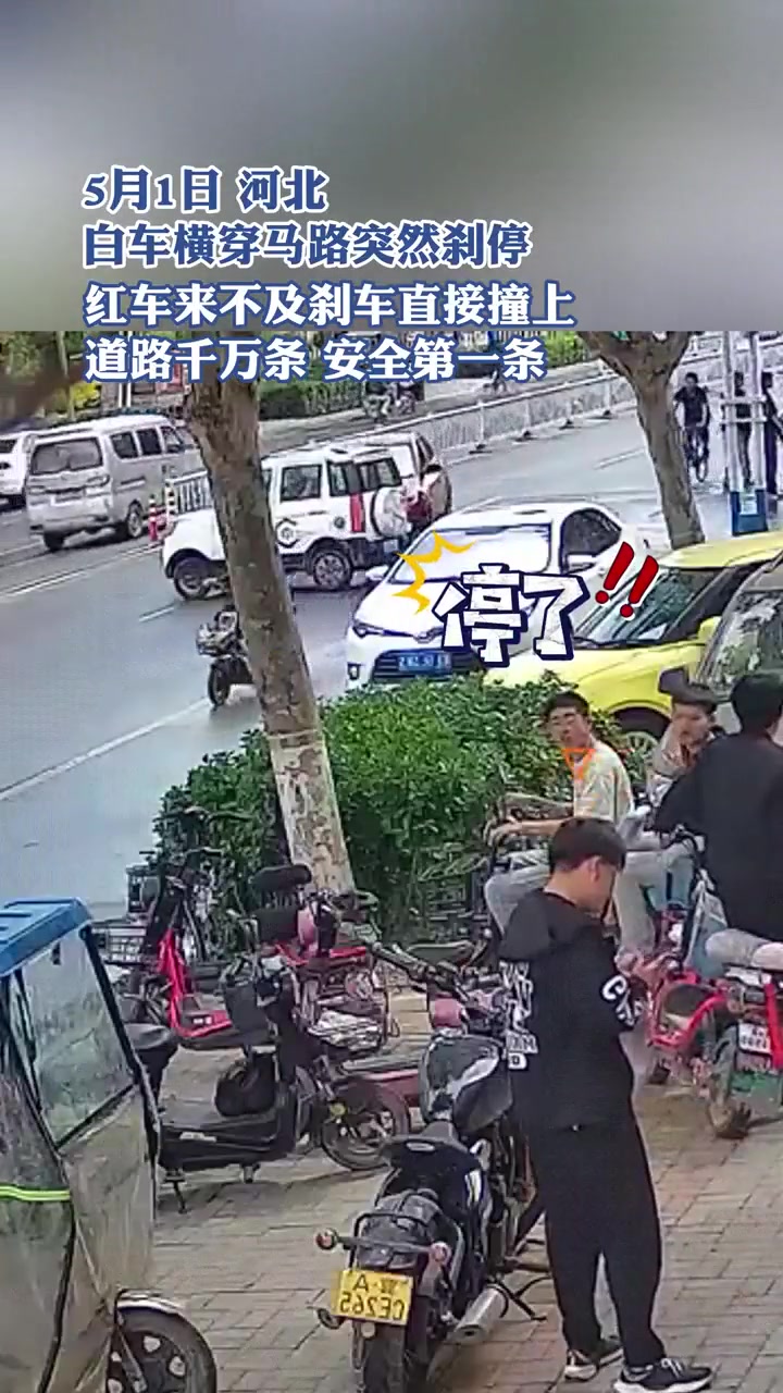 白车横穿马路突然刹停，红车来不及刹车直接撞上
