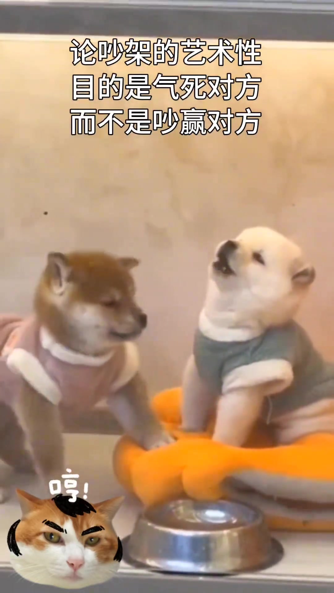 谁也说服不了谁