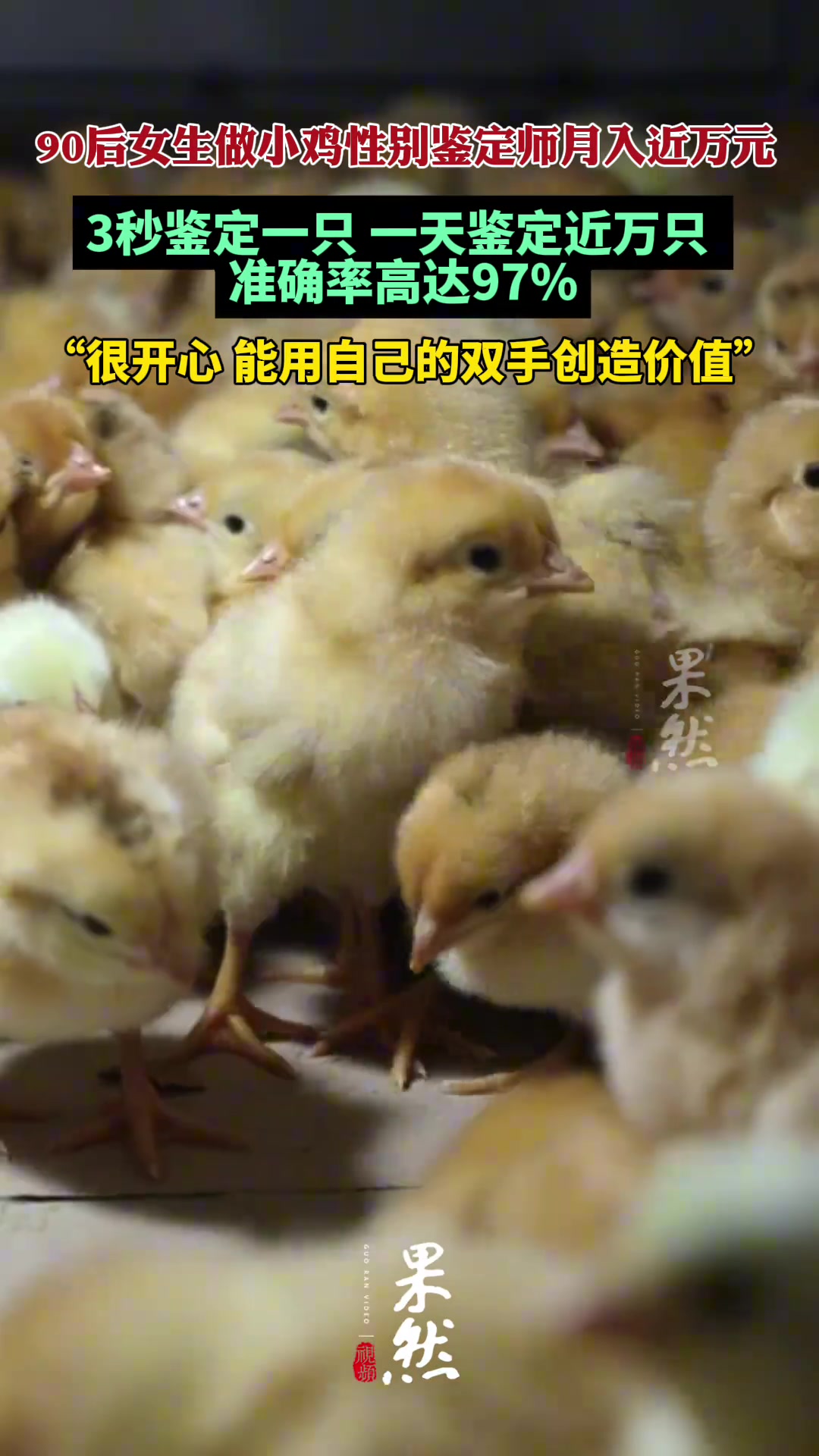 长见识了，还有这个行业？90后女生做小鸡性别鉴定师