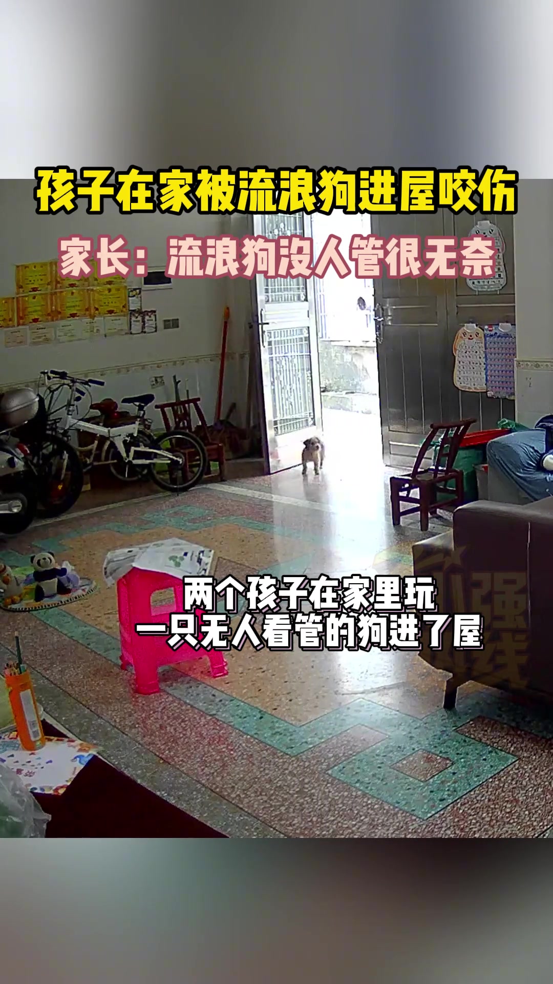 孩子在家被流浪狗进屋咬伤 小心！！！