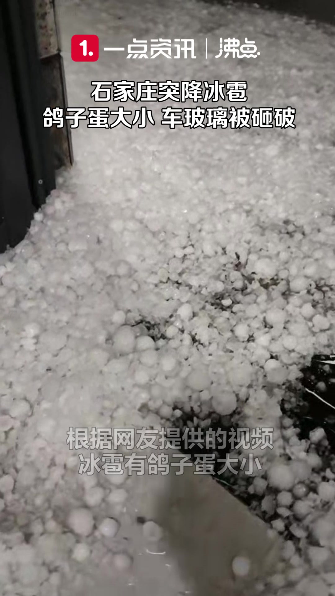 真的有鸽子蛋大的冰雹啊！河北石家庄突降冰雹