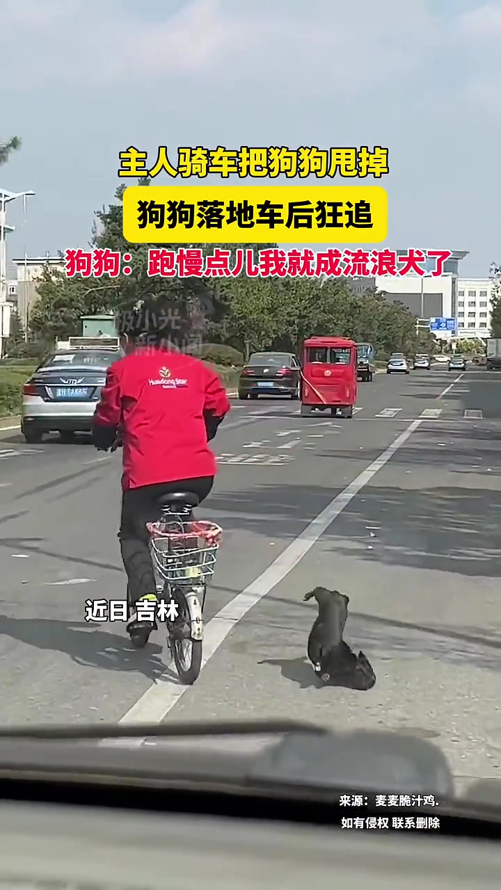 再跑慢一点我就要流浪了！