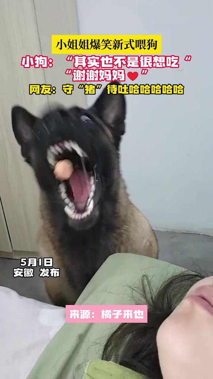 打点计时器？！京中有善口技者！
