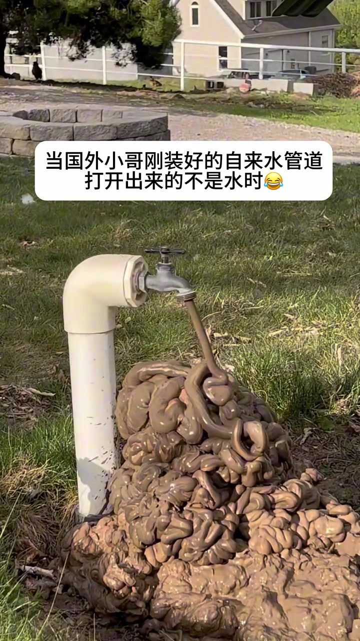 首先排除巧克力冰淇淋！吧友们觉得是什么？