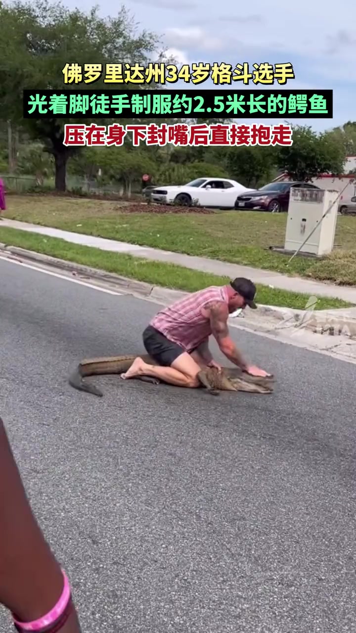 对线单杀鳄鱼！不用看字幕就知道是哪个洲！