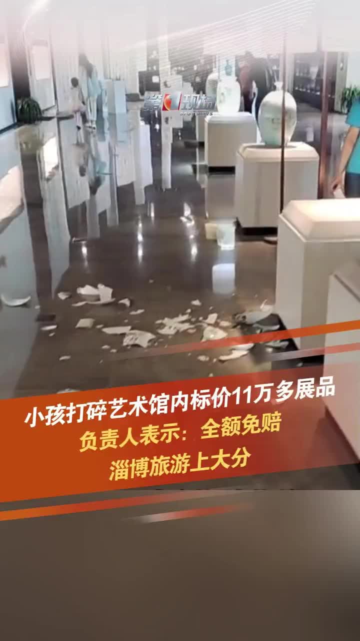 小孩打碎艺术馆近12万陶瓷花瓶被免赔？！