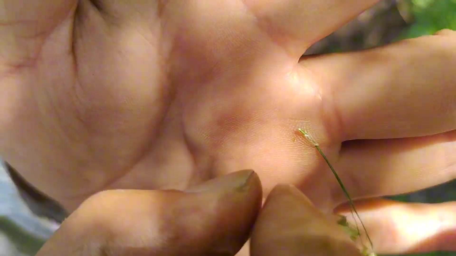 皱着眉头看完了，你们小时候耍过这种吗？