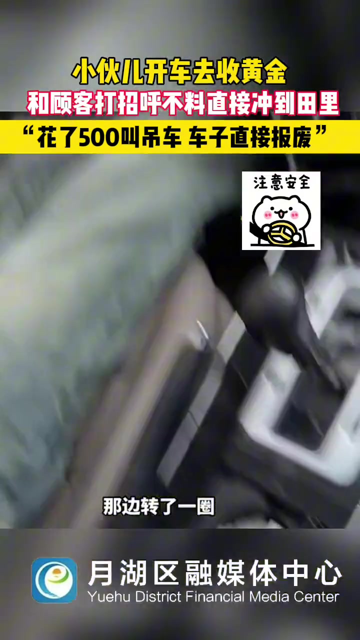 小伙开车去收黄金 和顾客打招呼直接冲田里去了