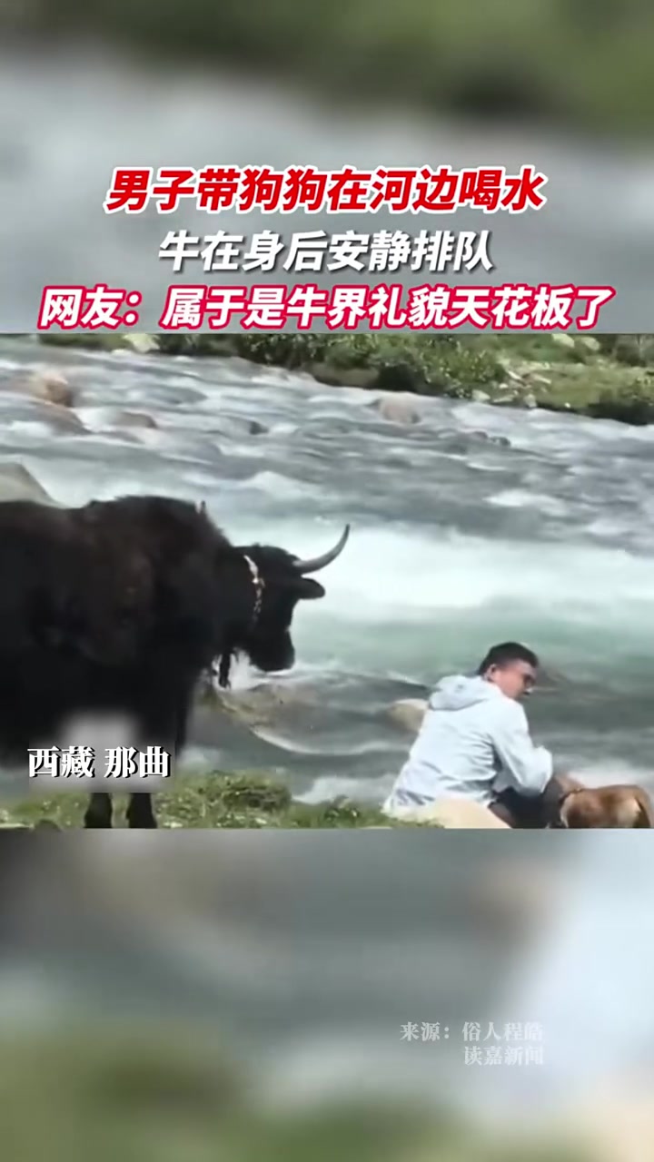 不怕牛发呆，就怕牛后退