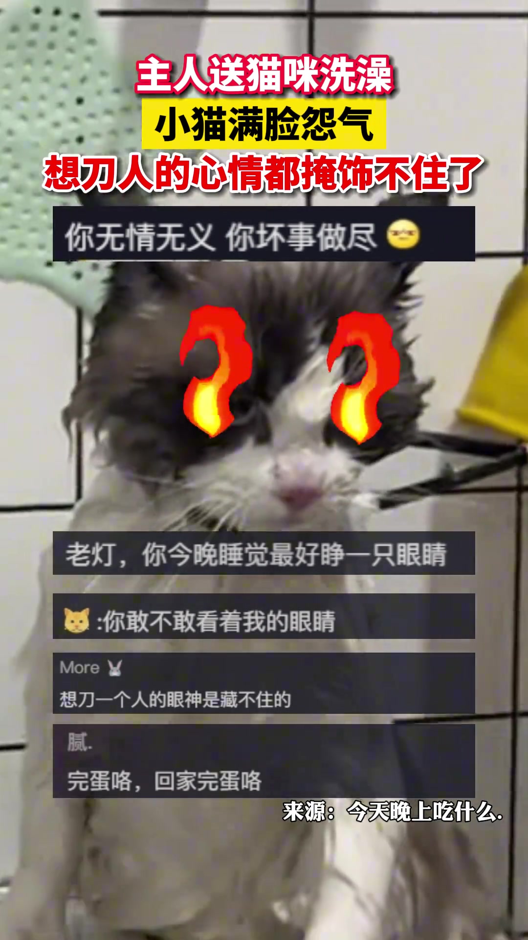 猫：准备好钱 我要生个5千的小病