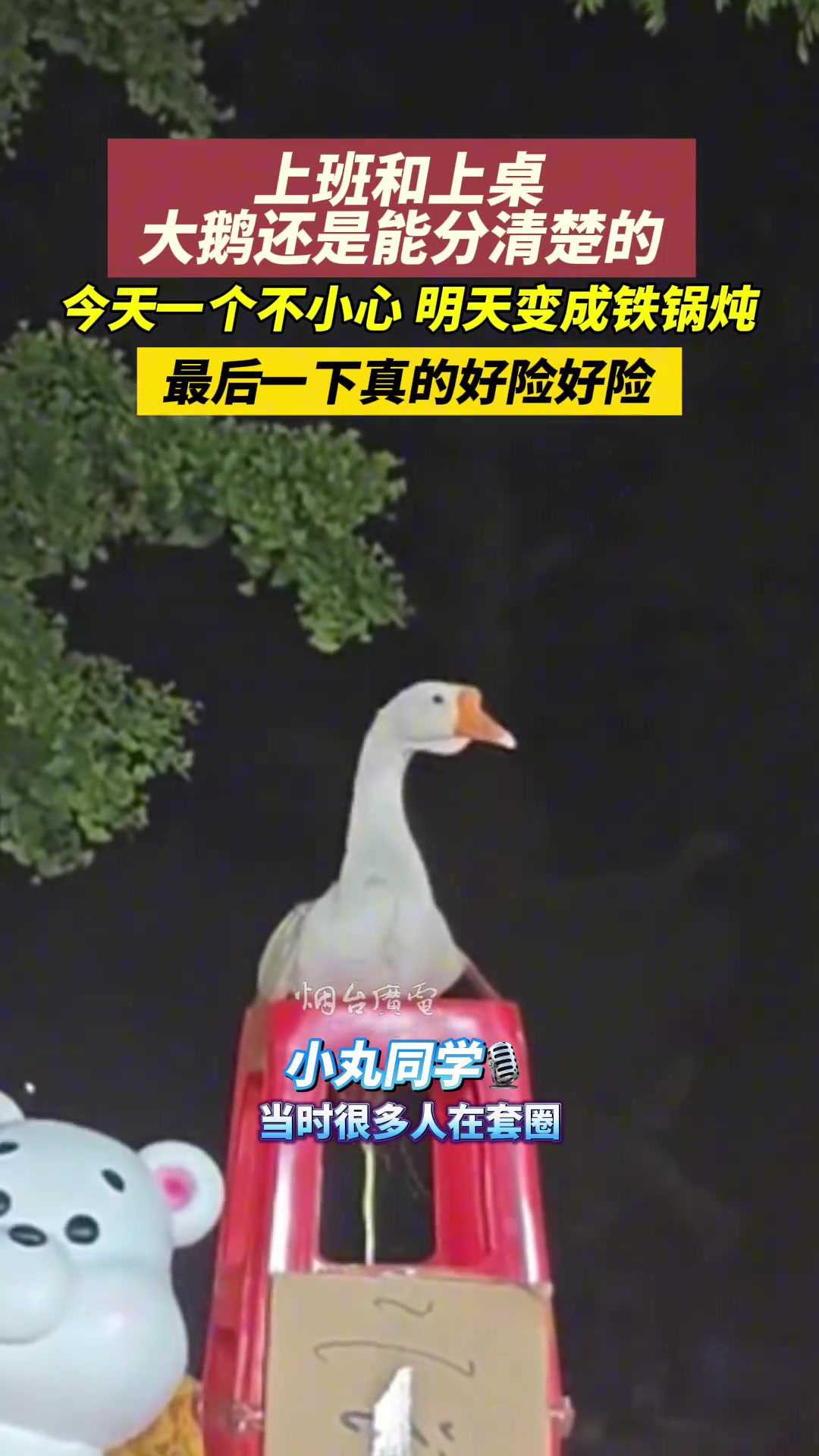 我怀疑老板特地训练过的这个鹅