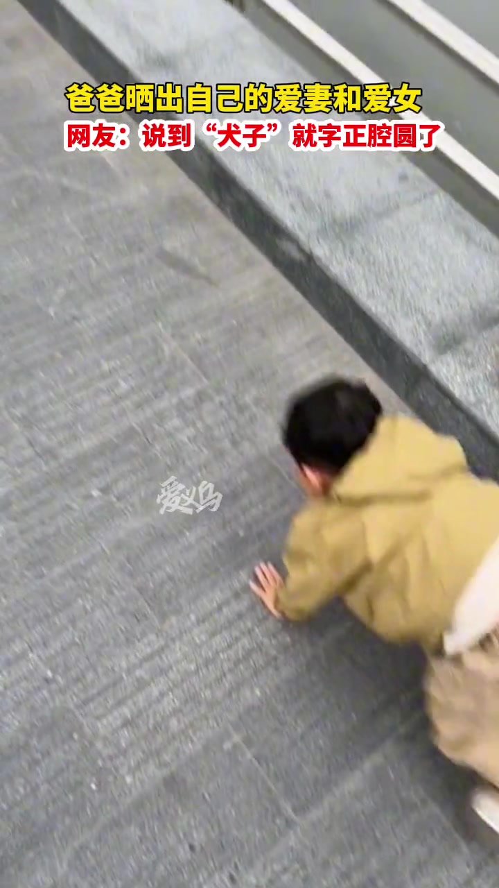网友：原来“犬子”是个形容词！ 原谅我不厚道的笑了